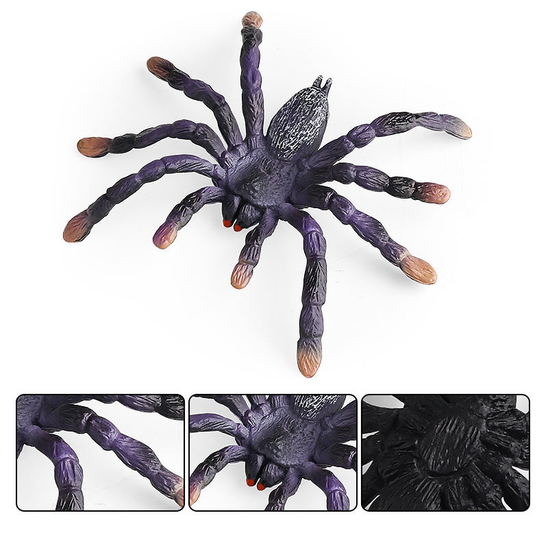 Oenux insectos animales modelo - Photography Online reseña y precio