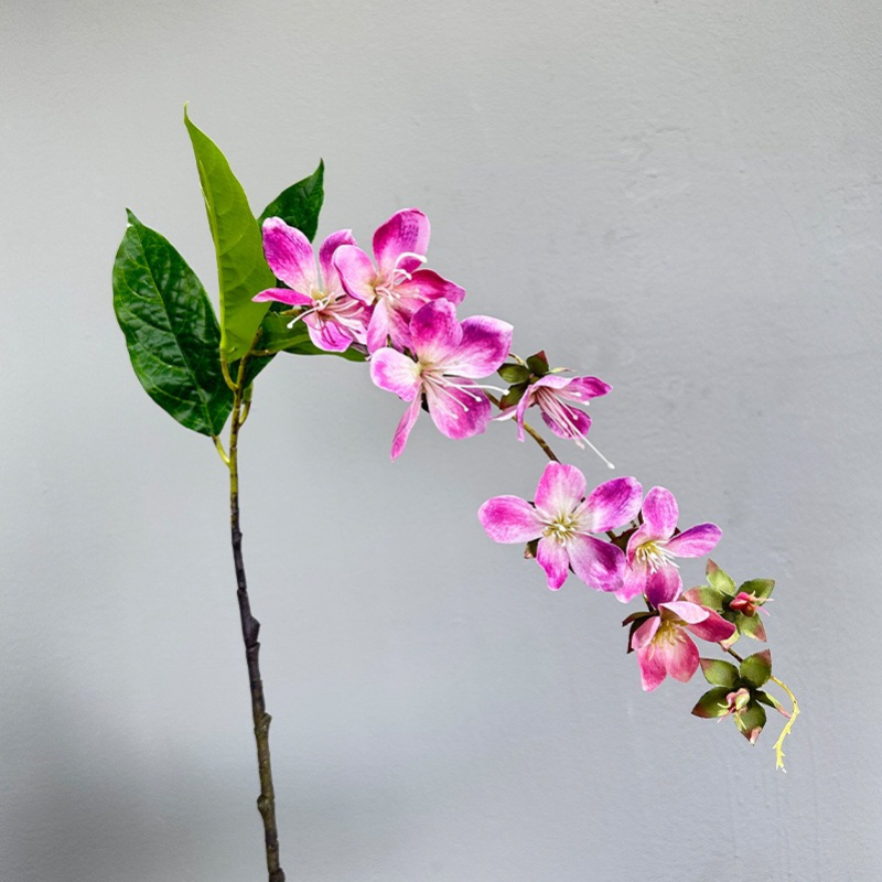 Flor de jazmín colgante Artifi - Photography Graduation reseña y precio