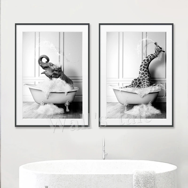 Fotos de Animales en blanco y  - Photography Duck reseña y precio
