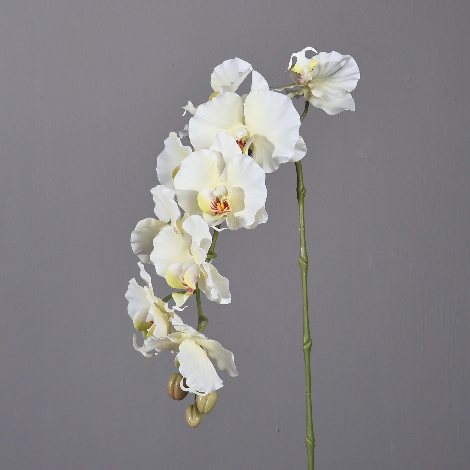 Phalaenopsis Artificial de est - Photography Graduation reseña y precio